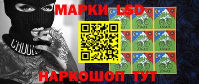 индика Заволжье