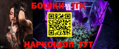 индика Заволжье
