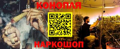 индика Заволжье