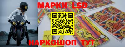 индика Заволжье