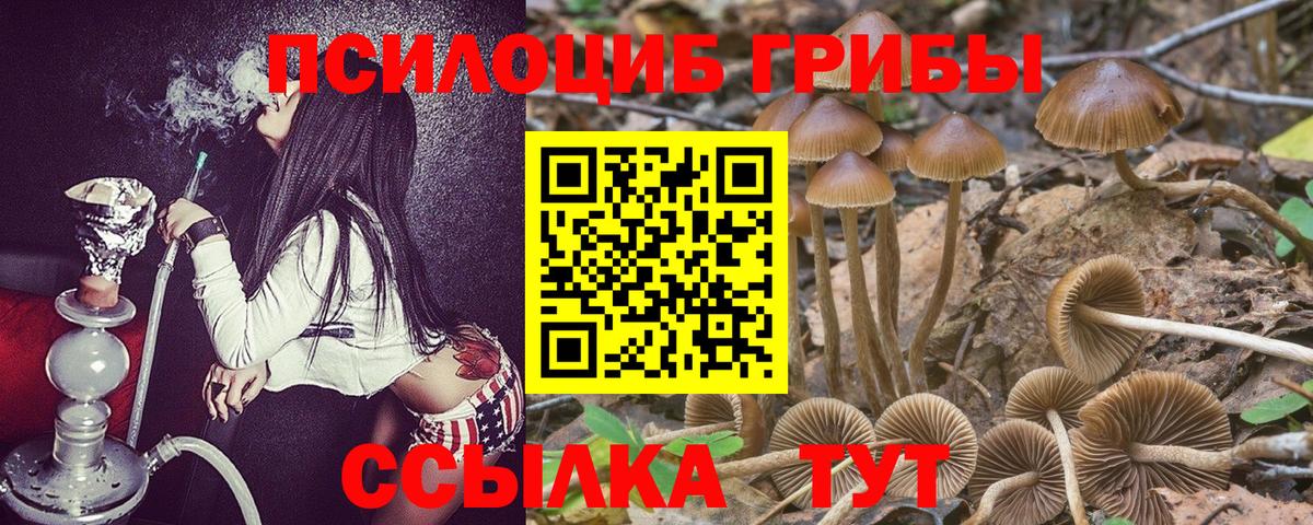 Галлюциногенные грибы мицелий  Вход с VPN  Сызрань 